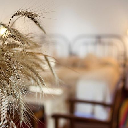 Finca Las Margaritas Чикоана Номер фото
