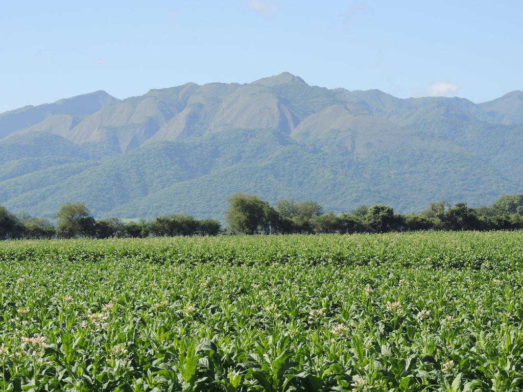 Finca Las Margaritas Чикоана Экстерьер фото